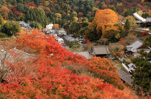 本堂の外舞台からみた寺並