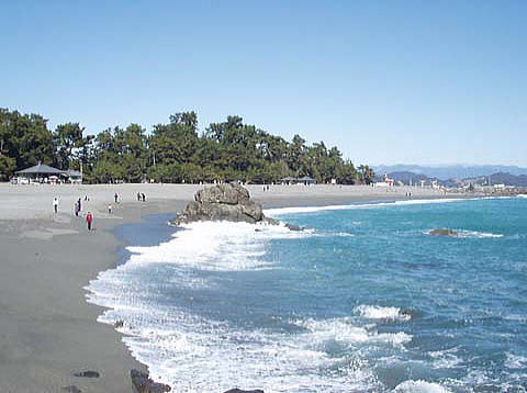 桂浜海岸　遊泳禁止