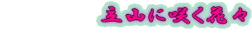 @@@@@@Rɍ炭ԁX 